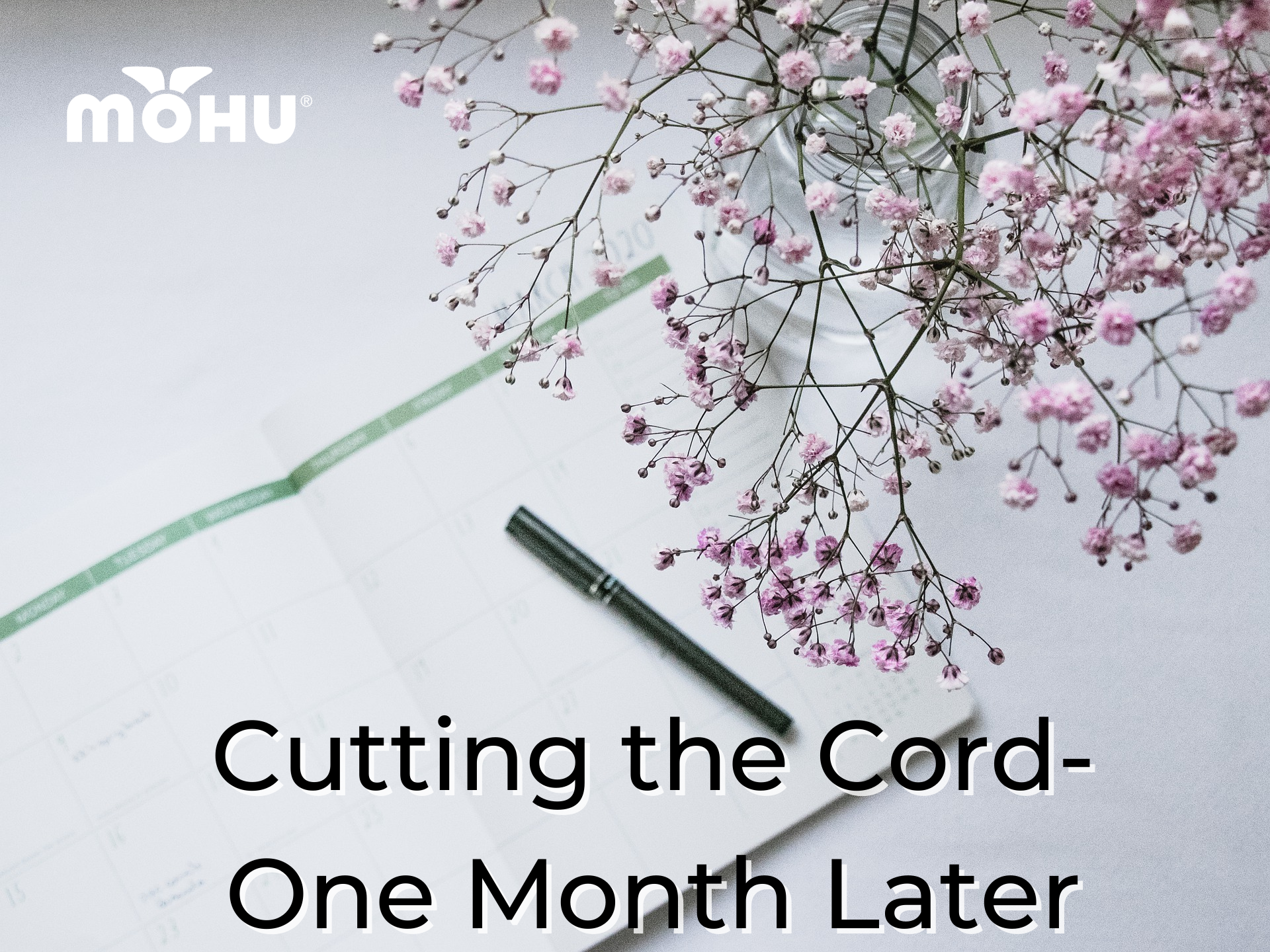 Photo of an open calendar on a desk with a pen and purple flowers in the corner, Cutting the Cord--One Month Later, Mohu